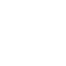 Cursuri de formare Cursuri de formare